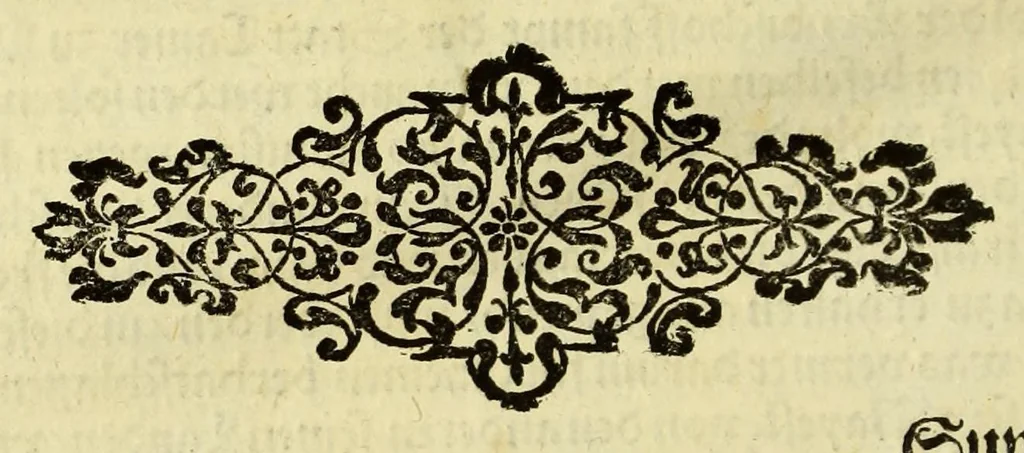 An illustration from Historien der Königkreich, Hispannien, Portugal, vnd Aphrica, darauss dann zusehen, in welcher Zeit, sonderlich Portugal, seinen Anfang genommen, von weine dasselbig zum Königreich erhaben, was dieselbigen Könige für Krieg vnnd Gewerb, zu Wasser vnnd Land geführet. ..., 1589, leaf 234