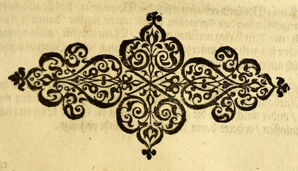 An illustration from Historien der Königkreich, Hispannien, Portugal, vnd Aphrica, darauss dann zusehen, in welcher Zeit, sonderlich Portugal, seinen Anfang genommen, von weine dasselbig zum Königreich erhaben, was dieselbigen Könige für Krieg vnnd Gewerb, zu Wasser vnnd Land geführet. ..., 1589, leaf 291