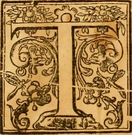 An illustration from The historie of the civill warres of France, 1647, leaf 10