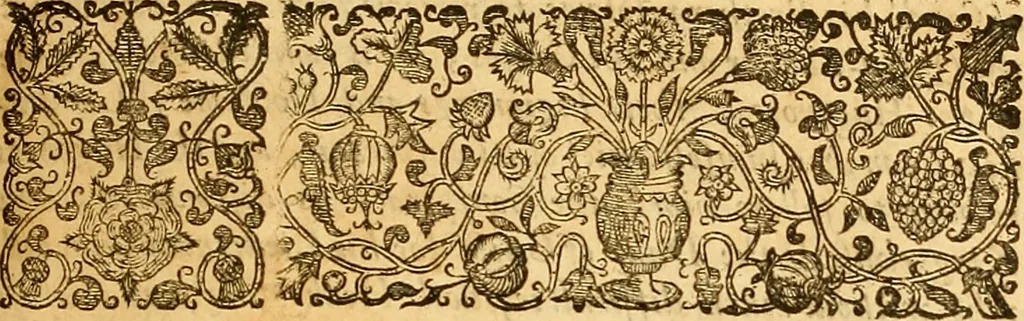 An illustration from The historie of the civill warres of France, 1647, leaf 12