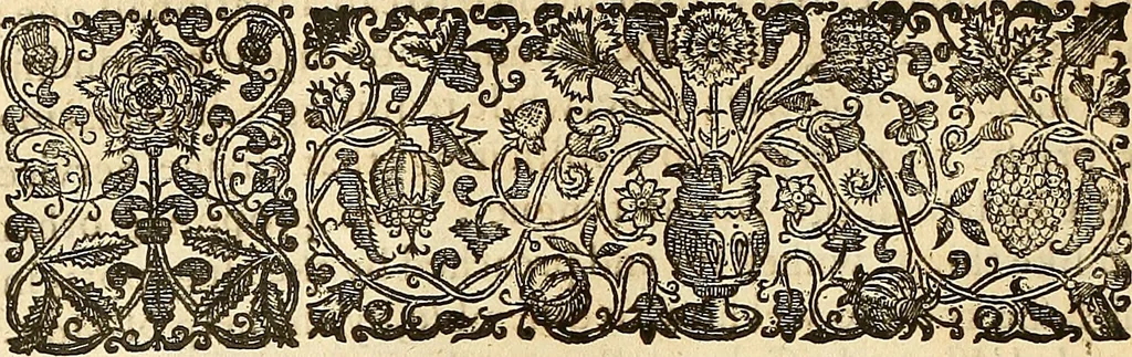 An illustration from The historie of the civill warres of France, 1647, leaf 121