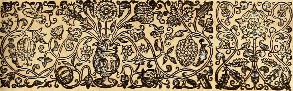 An illustration from The historie of the civill warres of France, 1647, leaf 1252