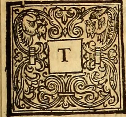 An illustration from The historie of the civill warres of France, 1647, leaf 1254