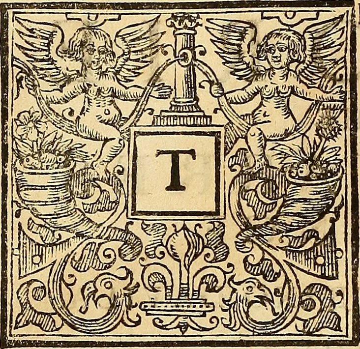 An illustration from The historie of the civill warres of France, 1647, leaf 13