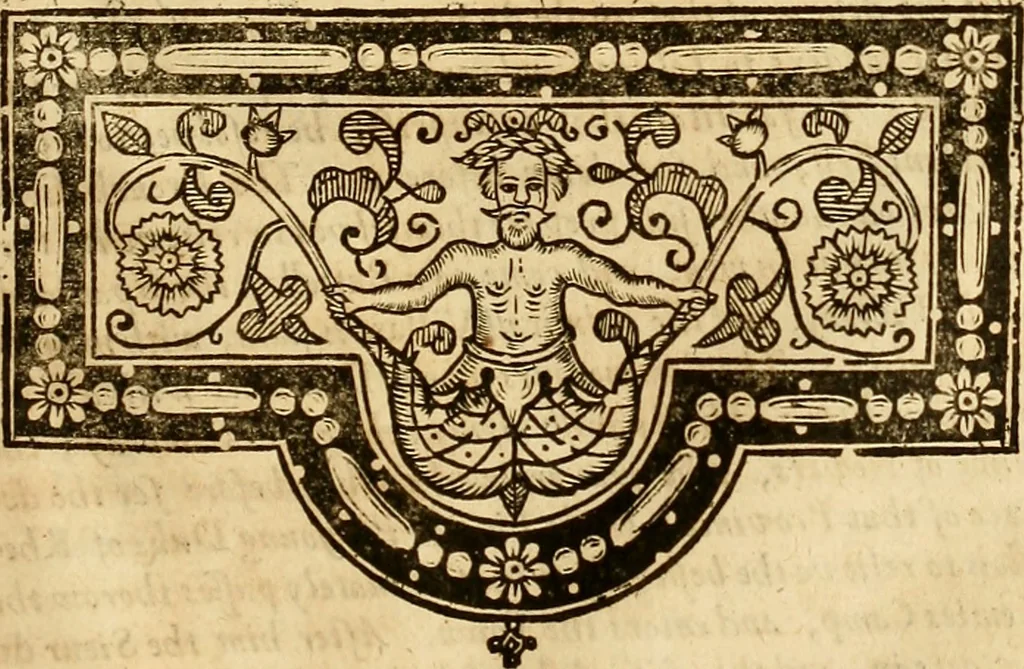 An illustration from The historie of the civill warres of France, 1647, leaf 1376