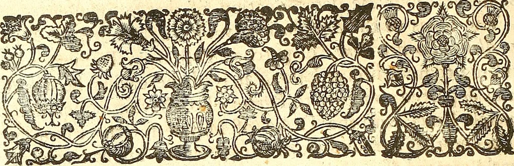 An illustration from The historie of the civill warres of France, 1647, leaf 1377