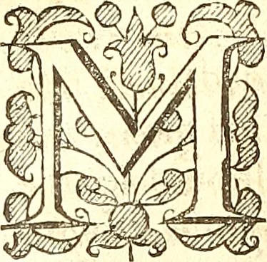 An illustration from The historie of the civill warres of France, 1647, leaf 1379