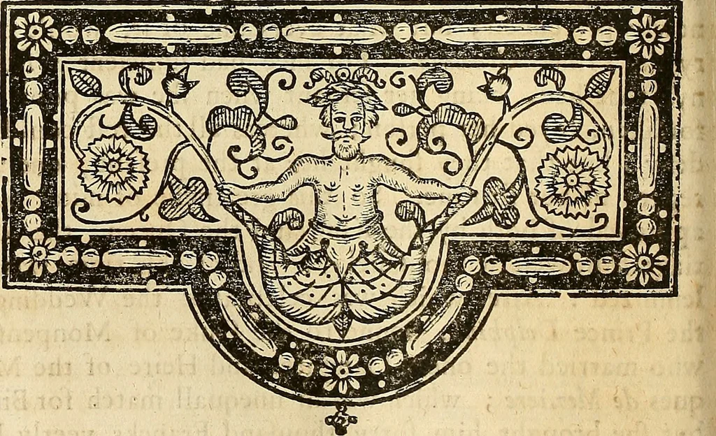 An illustration from The historie of the civill warres of France, 1647, leaf 215