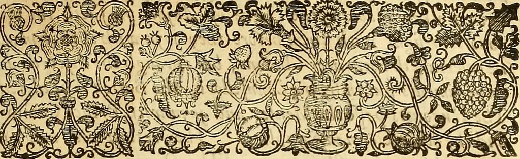 An illustration from The historie of the civill warres of France, 1647, leaf 216