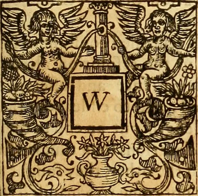 An illustration from The historie of the civill warres of France, 1647, leaf 218