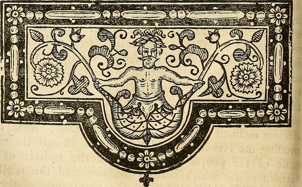 An illustration from The historie of the civill warres of France, 1647, leaf 315