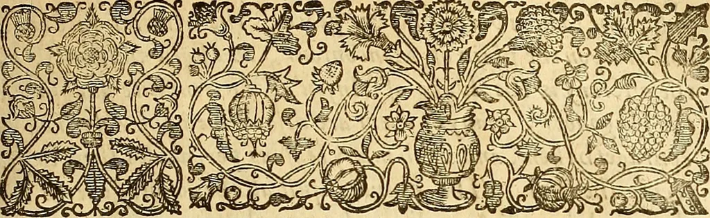 An illustration from The historie of the civill warres of France, 1647, leaf 316