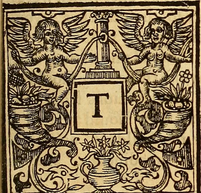 An illustration from The historie of the civill warres of France, 1647, leaf 318