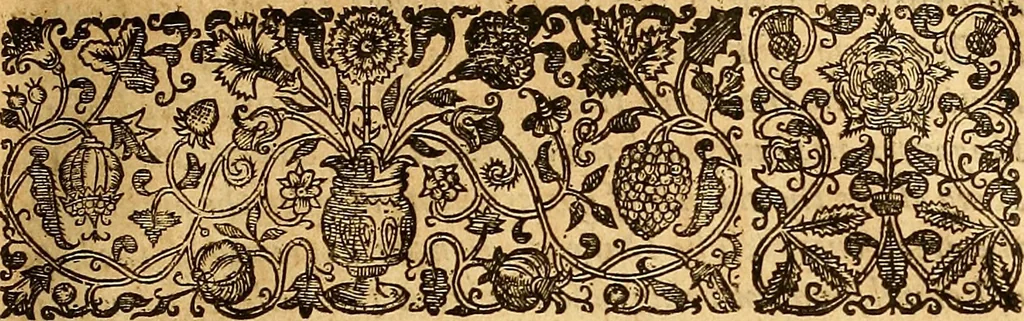 An illustration from The historie of the civill warres of France, 1647, leaf 422