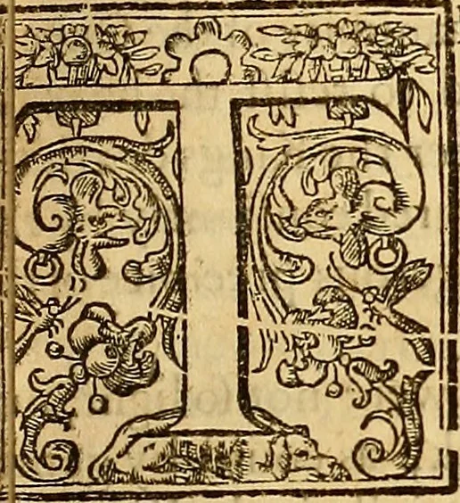 An illustration from The historie of the civill warres of France, 1647, leaf 424