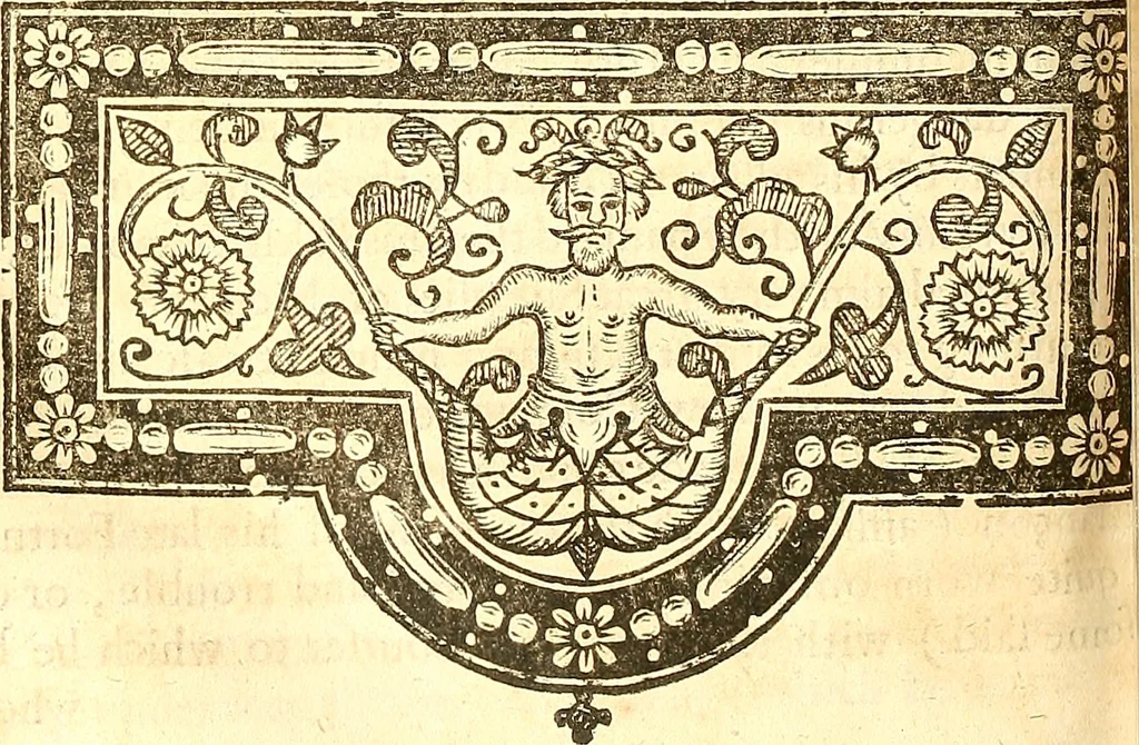 An illustration from The historie of the civill warres of France, 1647, leaf 509