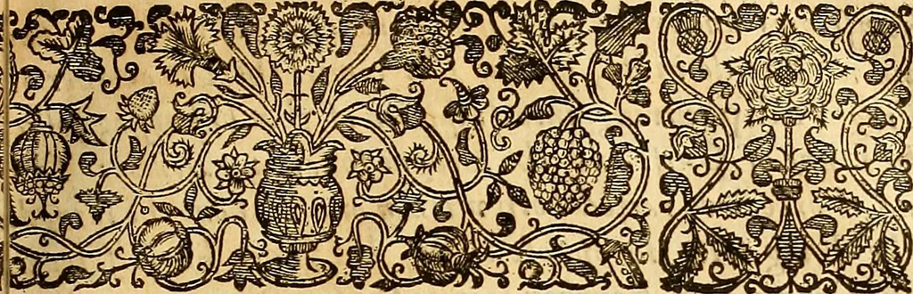 An illustration from The historie of the civill warres of France, 1647, leaf 510