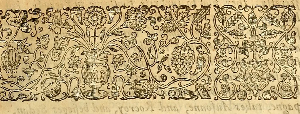 An illustration from The historie of the civill warres of France, 1647, leaf 590