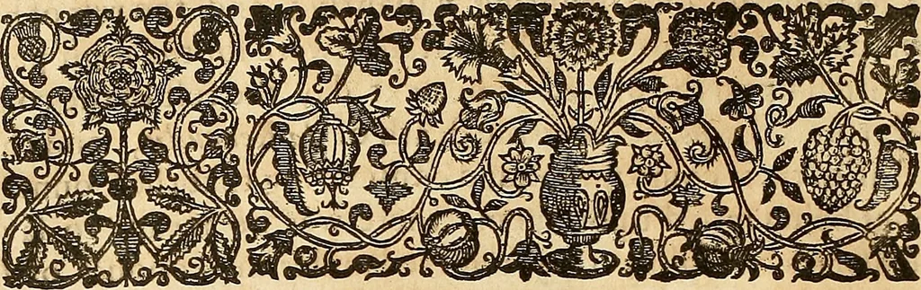 An illustration from The historie of the civill warres of France, 1647, leaf 63