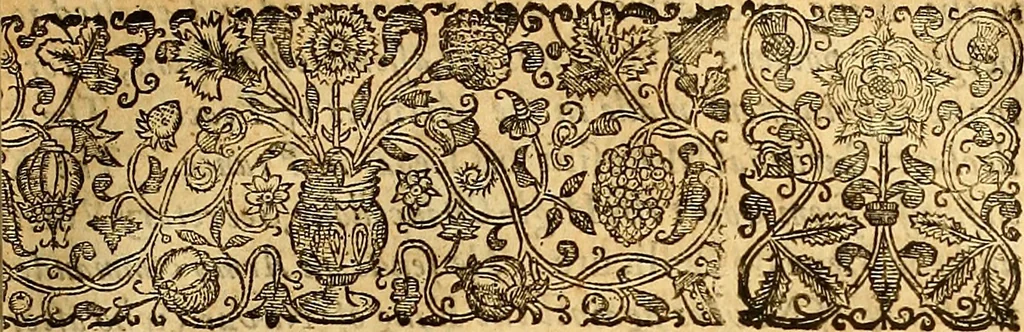 An illustration from The historie of the civill warres of France, 1647, leaf 678
