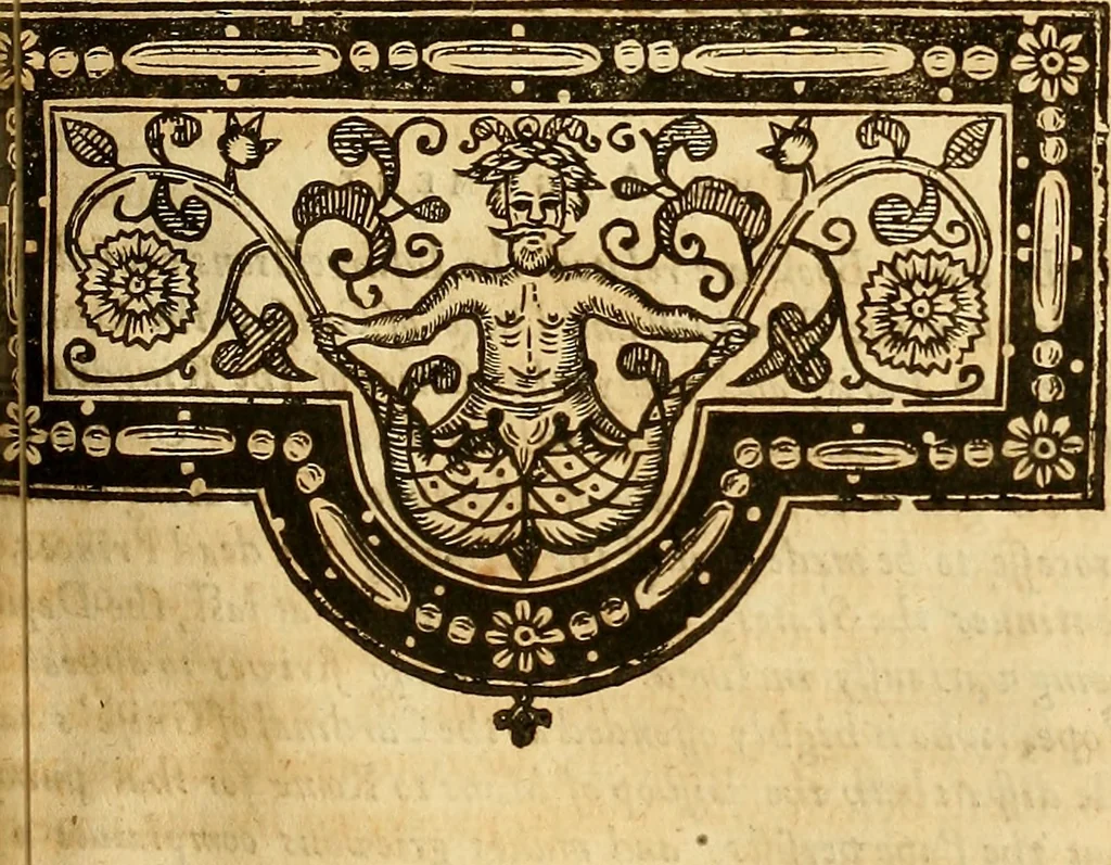 An illustration from The historie of the civill warres of France, 1647, leaf 770