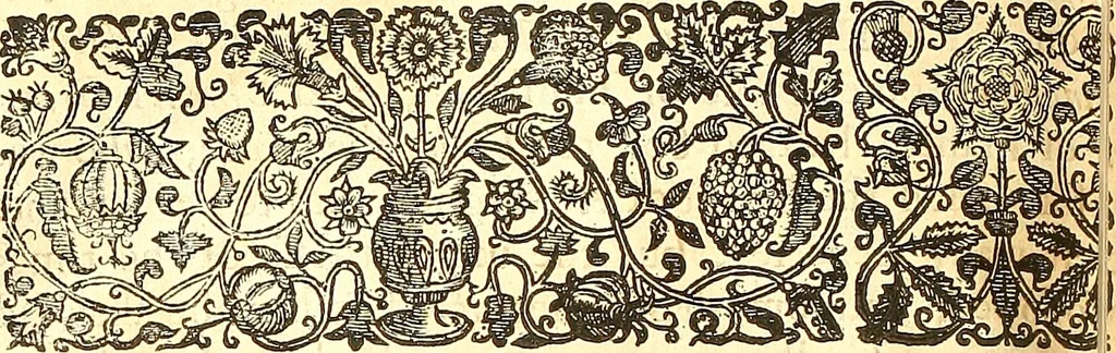 An illustration from The historie of the civill warres of France, 1647, leaf 771