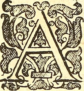 An illustration from The historie of the civill warres of France, 1647, leaf 773