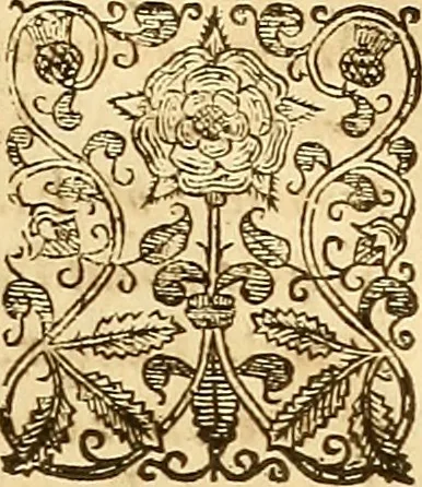 An illustration from The historie of the civill warres of France, 1647, leaf 880