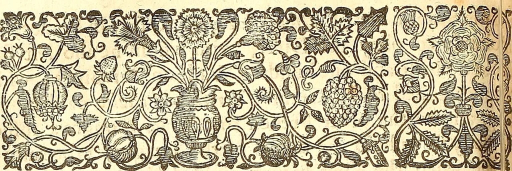 An illustration from The historie of the civill warres of France, 1647, leaf 983