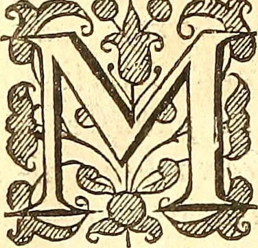 An illustration from The historie of the civill warres of France, 1647, leaf 985