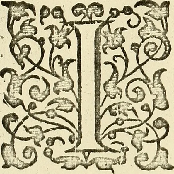 An illustration from Historie of the damnable life, and deserued death of Doctor John Faustus : new imprinted and in conuenient places imperfect matter amended, 1592, leaf 13