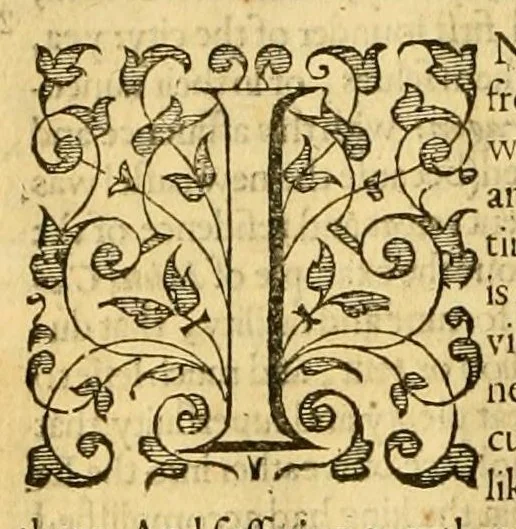 An illustration from The historie of Guicciardin : containing the warres of Italie and other partes, continued for manie yeares under sundrie kings and princes, together with the variations and accidents of the same: and also the arguments, with a table at large expressing the principall matters through the whole historie, 1599, leaf 68
