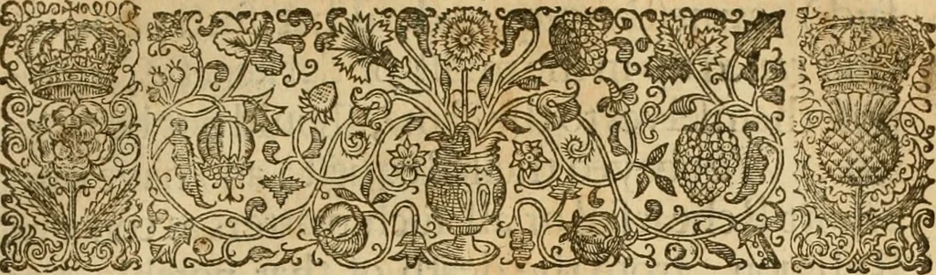 An illustration from The historie of the reformation of the Church of Scotland : containing five books: together with some treatises conducing to the history, 1644, leaf 206