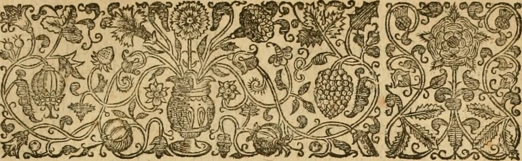 An illustration from The historie of the reformation of the Church of Scotland : containing five books: together with some treatises conducing to the history, 1644, leaf 574