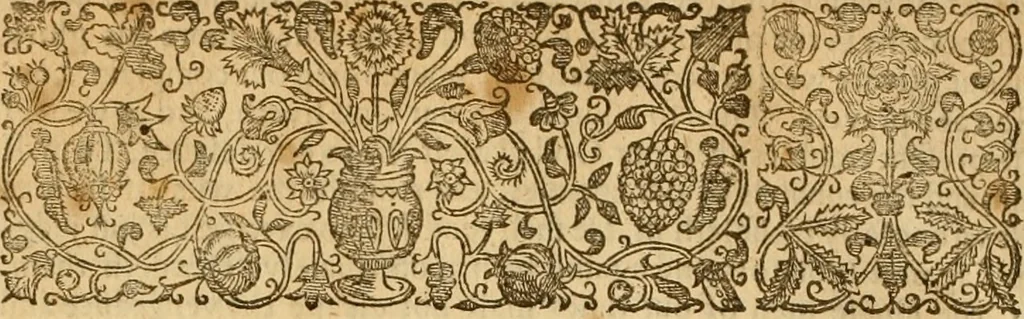 An illustration from The historie of the reformation of the Church of Scotland : containing five books: together with some treatises conducing to the history, 1644, leaf 611