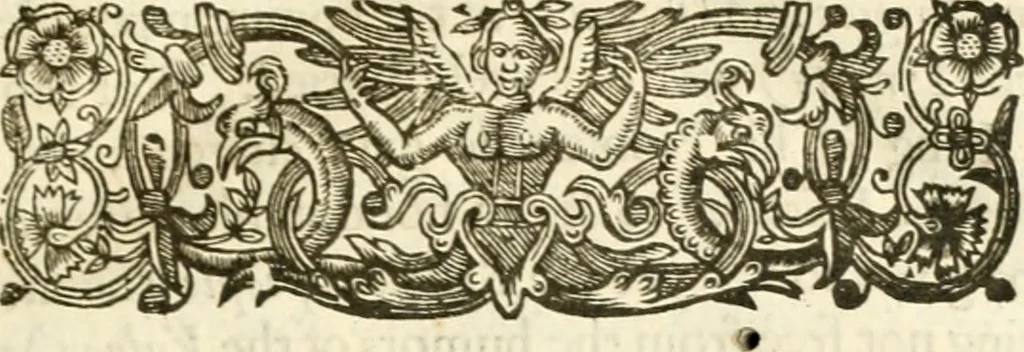 An illustration from The historie of the reigne of King Henry the Seventh ... Whereunto is now added a very usefull and necessary table, 1641, leaf 22