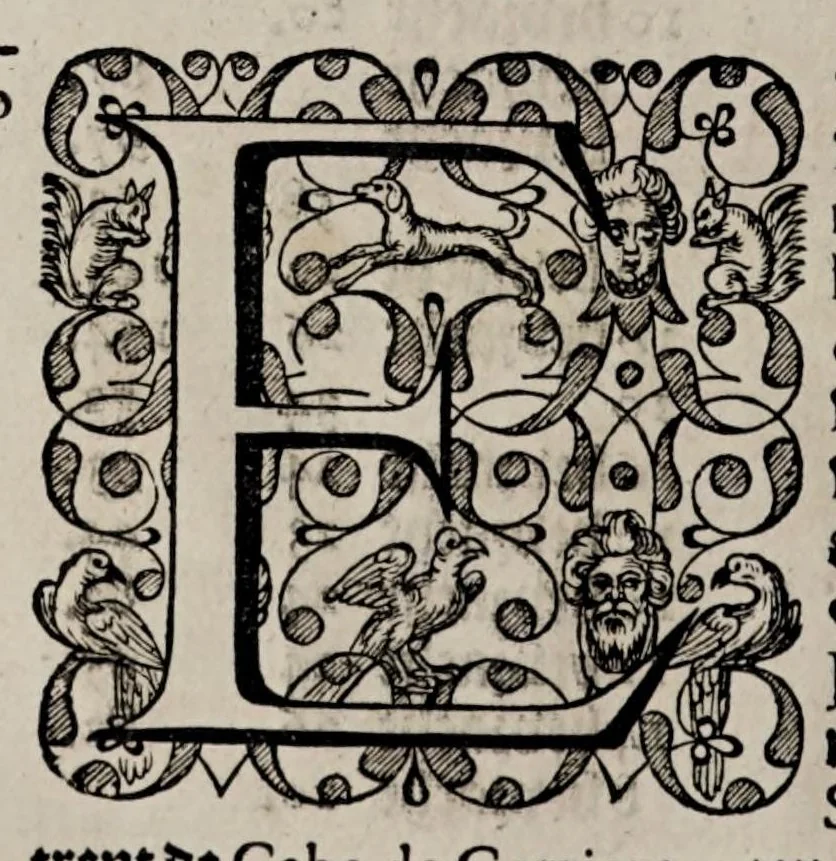 An illustration from Historie ofte Iaerlijck verhael van de verrichtinghen der Geoctroyeerde West-Indische Compagnie : zedert haer begin, tot het eynde van 't jaer sesthien-hondert ses-en-dertich; : begrepen in derthien boecken, ende met verscheyden koperen platen verciert:, 1644, leaf 584