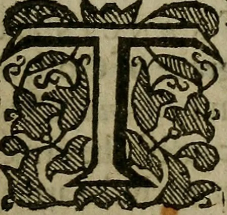 An illustration from The Historie of the, [sic] life and death, of Mary Stuart, Queene of Scotland, 1636, leaf 30