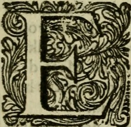 An illustration from Historie van de reformatie der kerke van Engeland, 1686, leaf 22