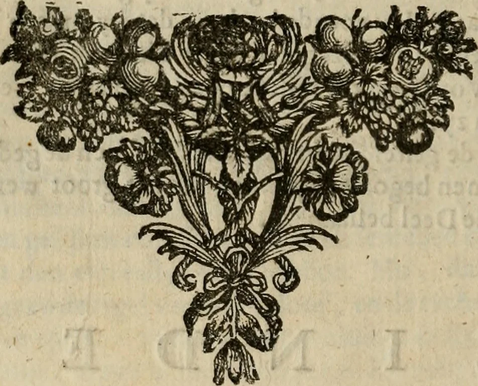 An illustration from Historie van de reformatie der kerke van Engeland, 1686, leaf 313