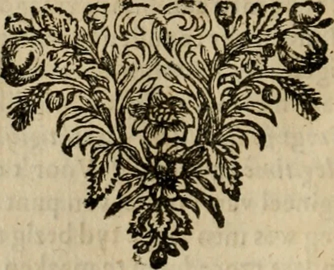 An illustration from Historie van de reformatie der kerke van Engeland, 1686, leaf 81