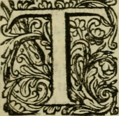 An illustration from Historie van de reformatie der kerke van Engeland, 1686, leaf 84