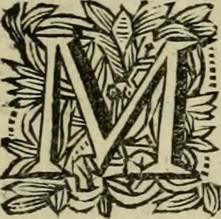 An illustration from Historie van de reformatie der kerke van Engeland, 1686, leaf 1098