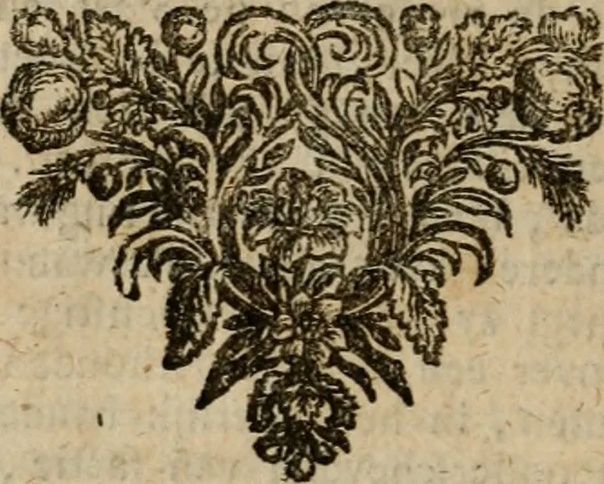 An illustration from Historie van de reformatie der kerke van Engeland, 1686, leaf 719