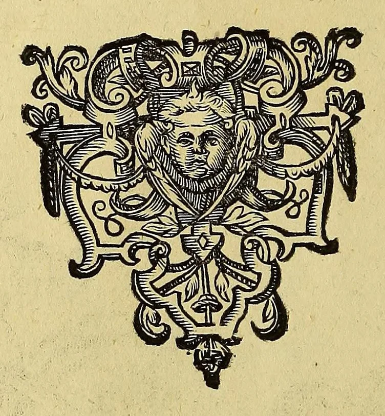 An illustration from Historische Beschreibung der fürstlichen Kindtauff Fräwlein Elisabethen zu Hessen &c. : Welche im Augusto dess 1596 Jahrs zu Cassel gehalten worden mit beygelegten Abrissen der Ritterspiele so damals vollnbracht,, 1598, leaf 64