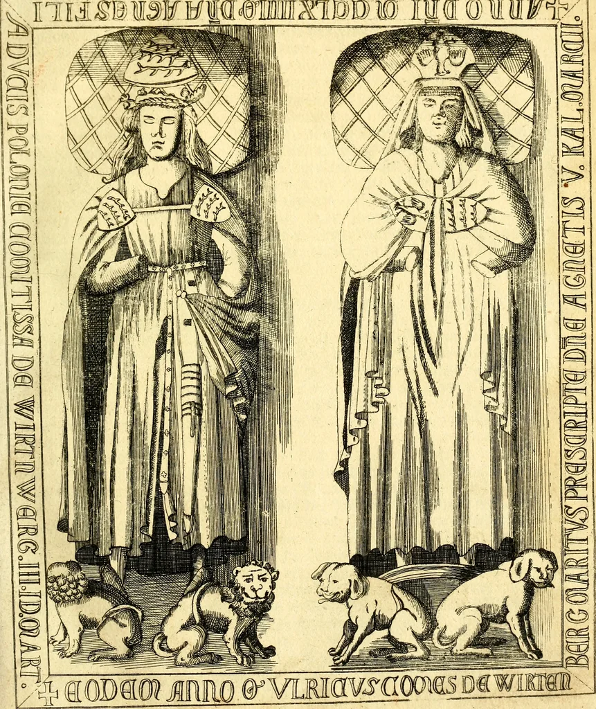 An illustration from Historische Beschreibung des Herzogthums Würtemberg und alle desselben Städte, Klöster und darzu gehörigen Aemter, 1752, leaf 42
