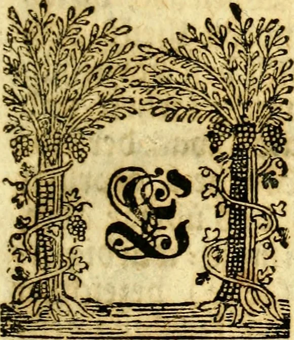 An illustration from Historische Beschreibung des Herzogthums Würtemberg und alle desselben Städte, Klöster und darzu gehörigen Aemter, 1752, leaf 8