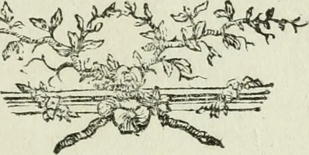 An illustration from Historische Lobschrift auf den Ritter Anton Raphael Mengs : nebst einem Verzeichnisse seiner Werke : aus dem Italischen, 1781, leaf 158