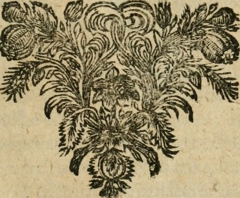 An illustration from Historisch verhael en politique bedeckingen aengaende de bestieringe van staet-en oorloghs-saken, voor-gevallen onder de bedieningen van de Heeren Cornelis en Johan de Witt, 1677, leaf 6