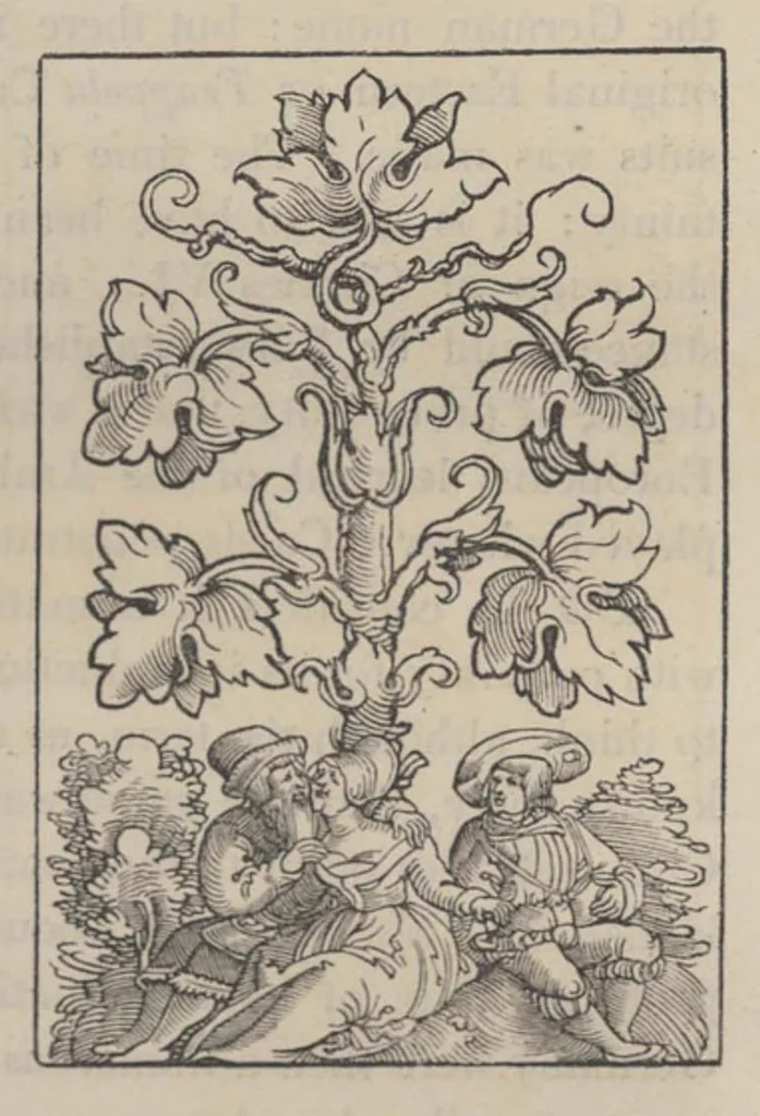 An illustration from Researches into the history of playing cards; with illustrations of the origin of printing and engraving on wood, 1816, leaf 68